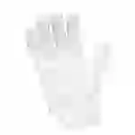 Antistat 509-0004 ESD-Handschuh Kleider-Größe: XL Polyester Antistat 509-0004 ESD-Handschuh Kleider-Größe: XL Polyester