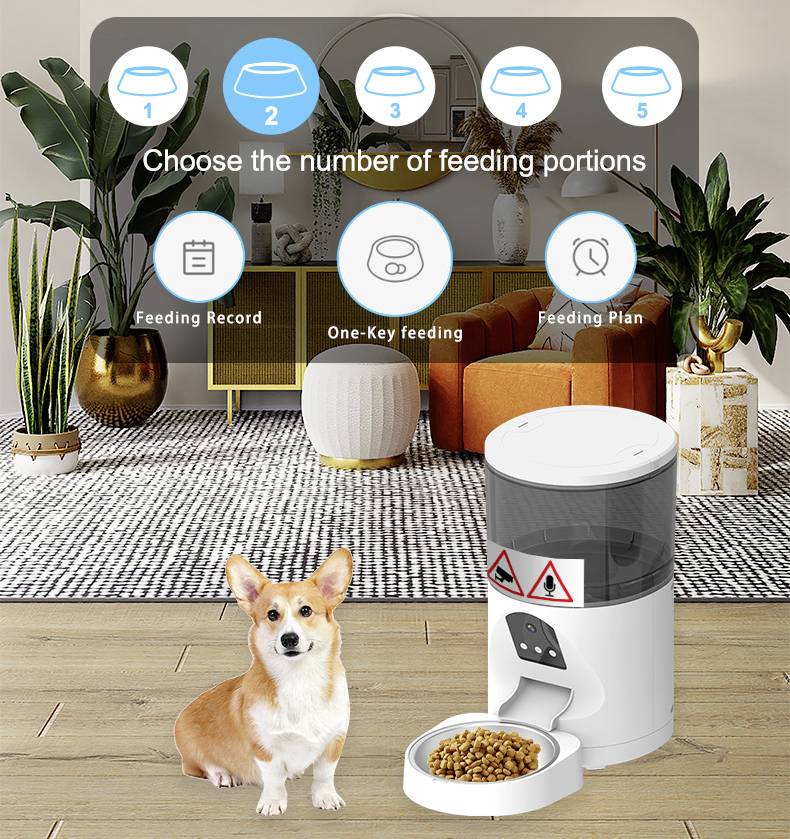 Ein Corgi sitzt neben einem automatischen Futterspender mit einer Portion Trockenfutter in einem modern eingerichteten Wohnzimmer.