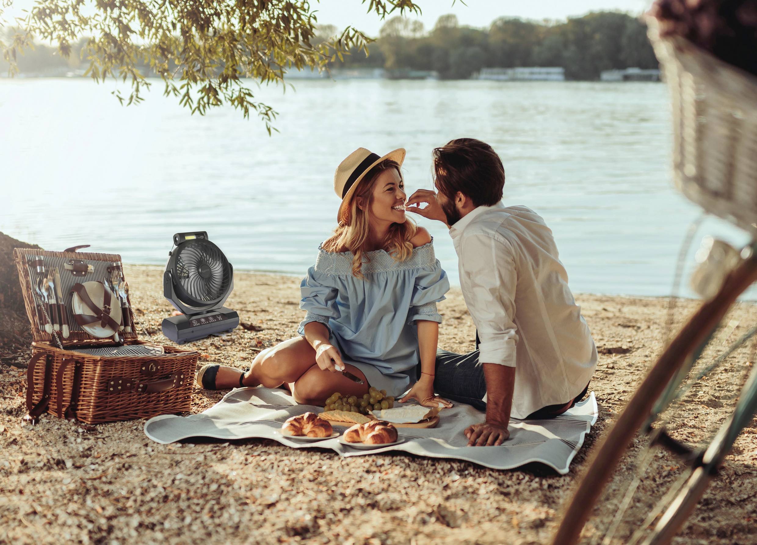 Sygonix Akku-Ventilator 4.6W (Ø) 205mm Schwarz Akkubetrieb möglich, mit Beleuchtung, Oszillierend, mit Fernbedienung