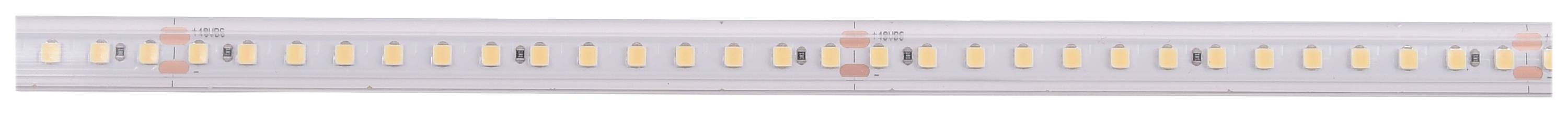 Deko Light Long Run 840406 LED-Streifen EEK: F (A - G) mit offenem Kabelende 48 V 50 m Neutralweiß 1 St.