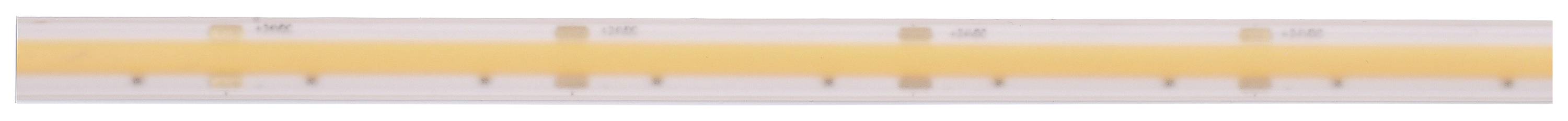 Durchsichtiger Plastiklineal mit orangefarbener Mittelstreifen und Zentimeter- und Zollskala.