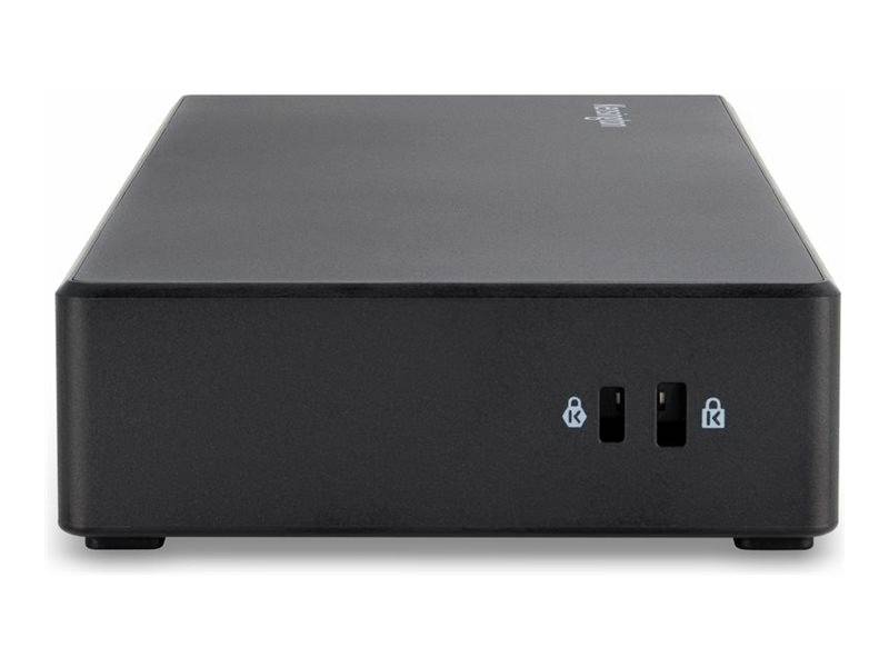 Externe Festplatte in schwarzem Gehäuse mit zwei Schlosssymbolen auf der Vorderseite, symbolisiert Sicherheit und Datenspeicherung.