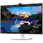 Dell UltraSharp Conferencing U3223QZ LED-Monitor EEK F (A - G) 80cm (31.5 Zoll) 3840 x 2160 Pixel 16:9 5 ms HDMI®, DisplayPort