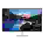 Dell UltraSharp U4323QE LED-Monitor EEK G (A - G) 108cm (42.51 Zoll) 3840 x 2160 Pixel 16:9 5 ms HDMI®, DisplayPort, USB-C® 3.2