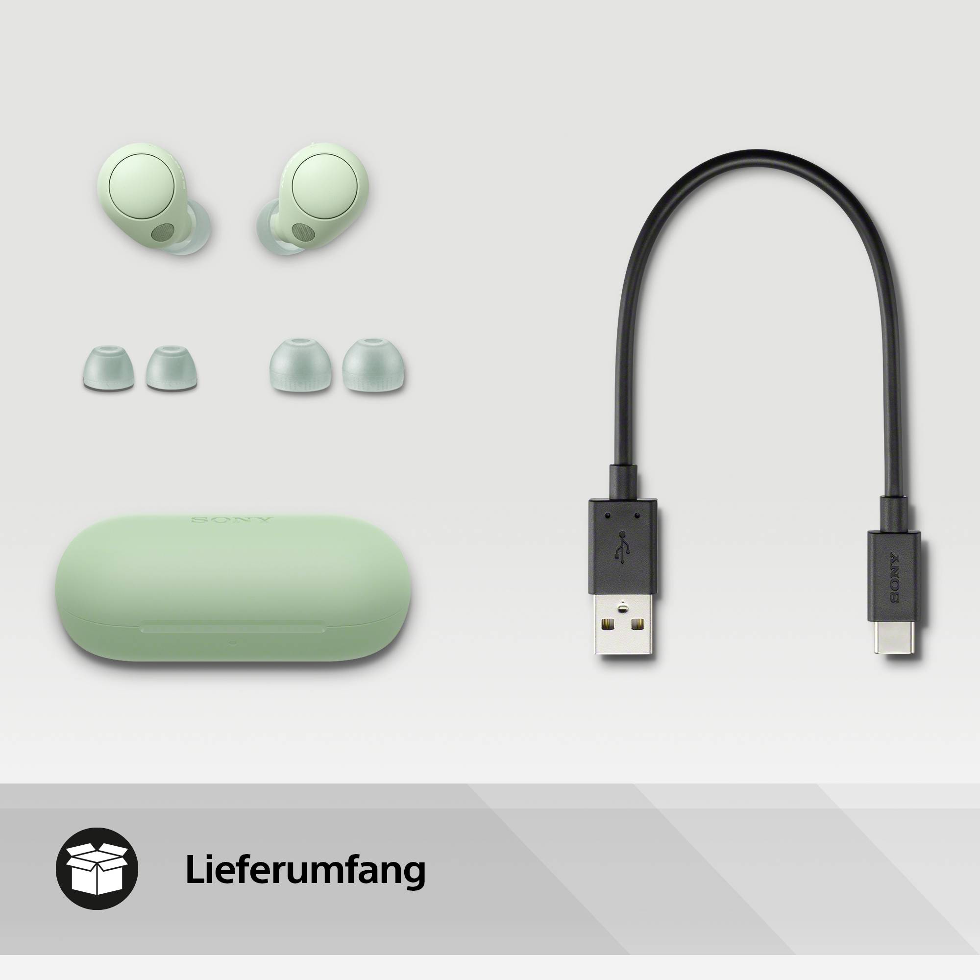 Abbildung zeigt grünes kabelloses Earbuds-Set mit Ladeetui, zusätzliche Ohrpolster und ein USB-Ladekabel.
