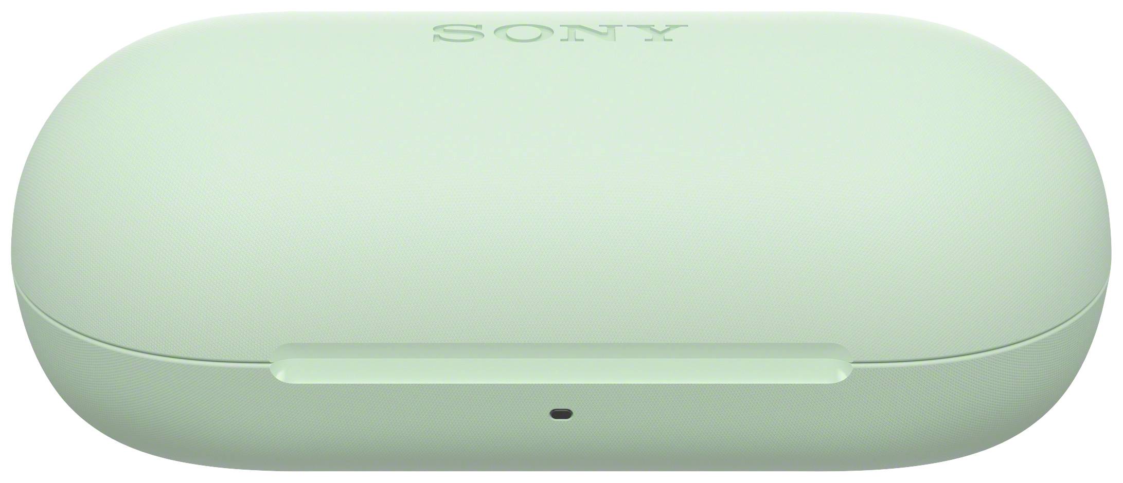 Grünes, ovales Etui mit 'SONY'-Logo auf der Oberseite, vermutlich ein Ladecase für kabellose Ohrhörer, einfaches, minimalistisches Design.