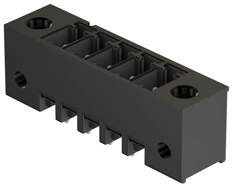 Elektronisches Bauteil: Schwarzer Steckverbinder mit mehreren Anschlüssen, rechteckige Form, Löcher an den Enden.