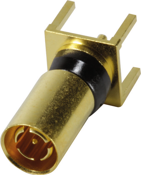 Ein goldener, zylindrischer Steckverbinder mit zwei Stiften, geeignet für elektronische Anwendungen.