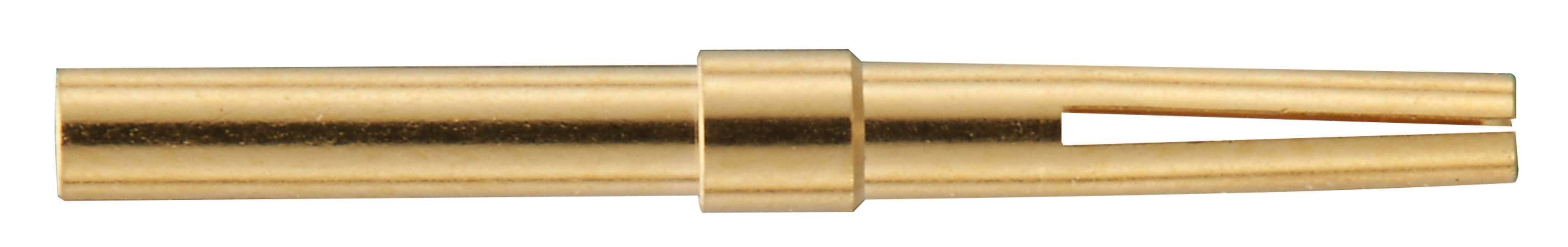 Goldener Metallstecker mit zylindrischer Form und gespreizter Spitze. Kann für elektronische Verbindungen verwendet werden.
