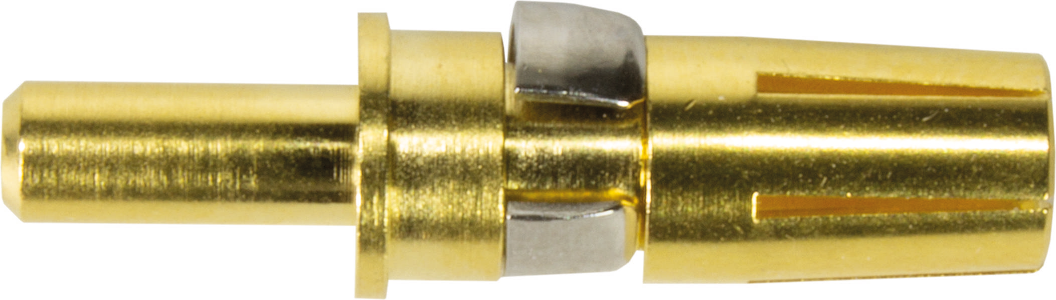 Goldener Bananenstecker in Nahaufnahme, aus Metall, mit seitlichen Schlitzen.