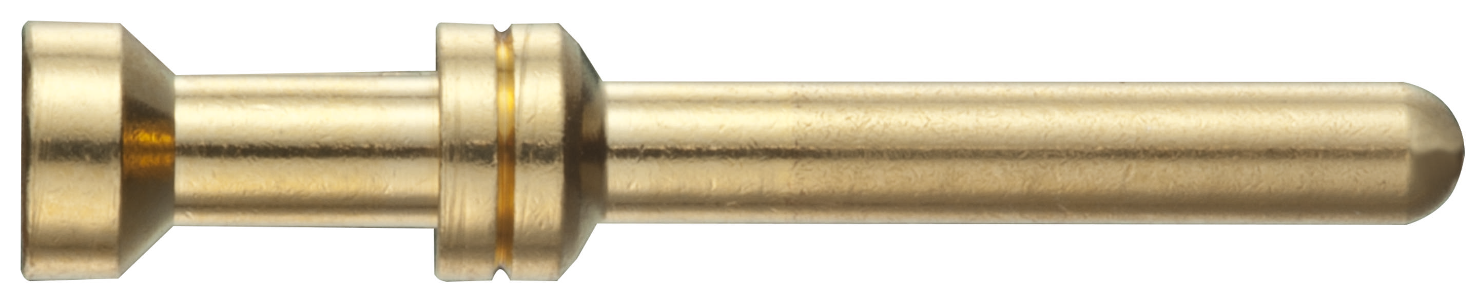 Ein einzelner, goldfarbener Metallstift mit abgerundeten Enden, horizontal ausgerichtet. Verwendet zum elektrischen Verbinden.
