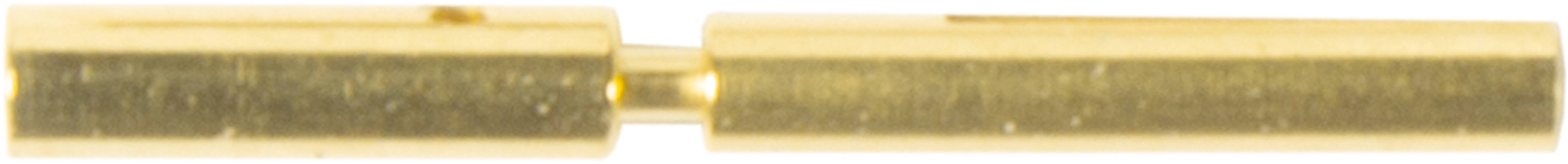 Zwei goldene Metallhülsen, die aneinander ausgerichtet sind, vor einem weißen Hintergrund.