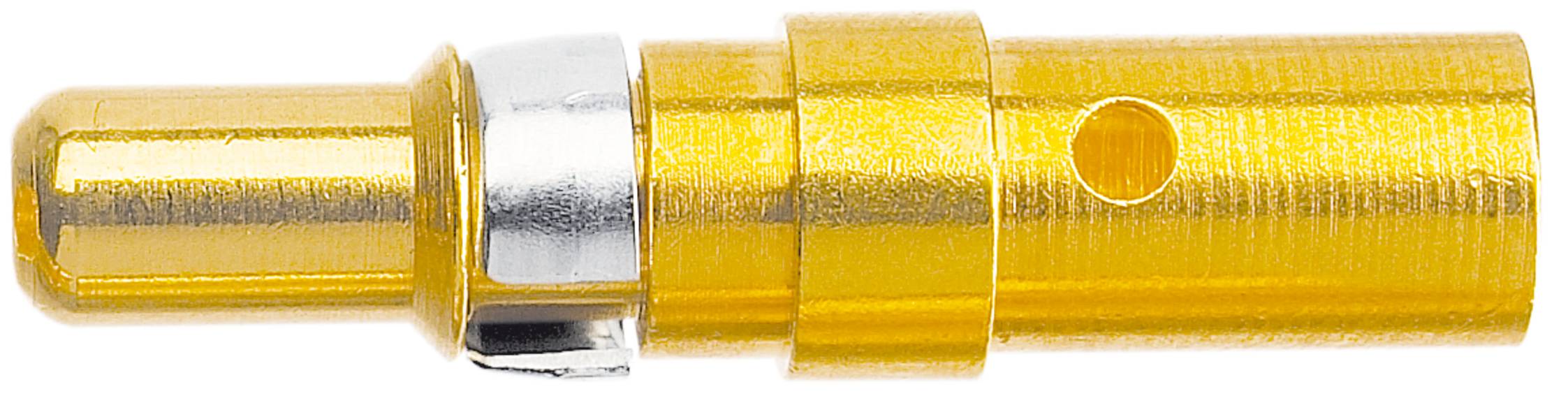 Goldener Bananenstecker mit silbernem Ring zur elektrischen Verbindung.