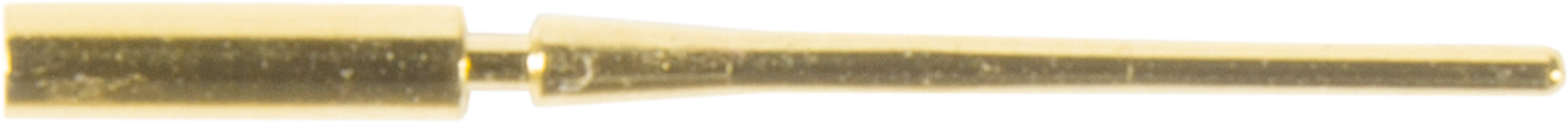 Ein goldfarbenes, längliches Objekt mit einem schmalen Ende, das wie ein Stift oder ein Werkzeug aussieht.