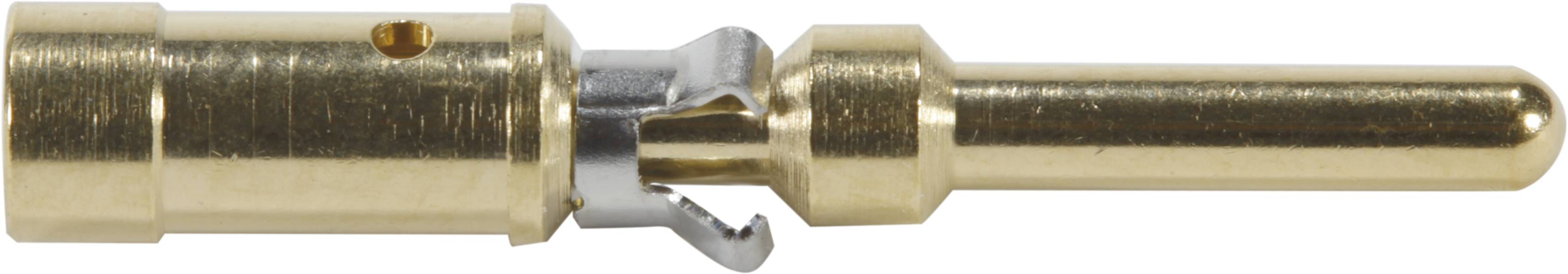 Steckkontakt aus Metall in zylindrischer Form mit goldenem Finish, geeignet für elektrische Verbindungen.