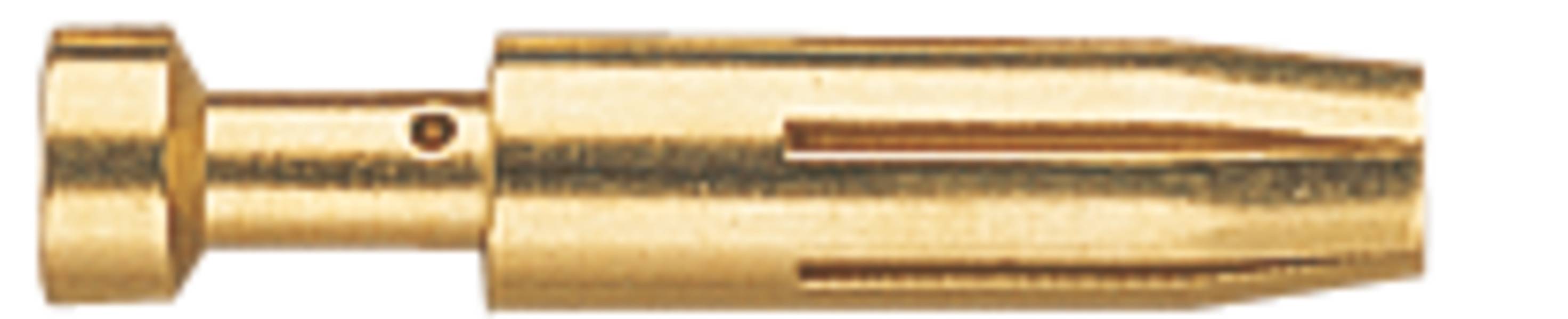 Ein goldener Dübel aus Metall mit Schlitzen, vermutlich für die Befestigung in Wänden genutzt.