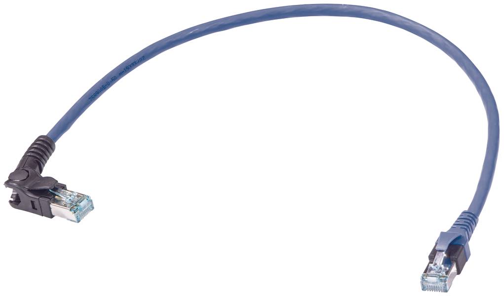 Ein blaues Ethernet-Kabel mit Steckern an beiden Enden, verwendet für die Netzwerkverbindung von Computern und Geräten.