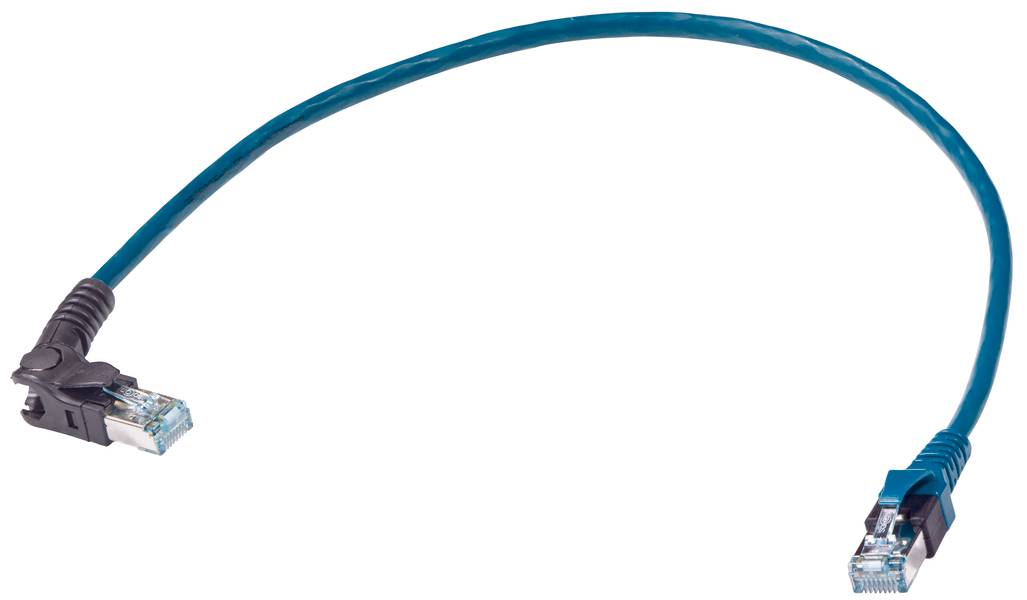 Ein blaues Ethernet-Kabel mit Steckern an beiden Enden.