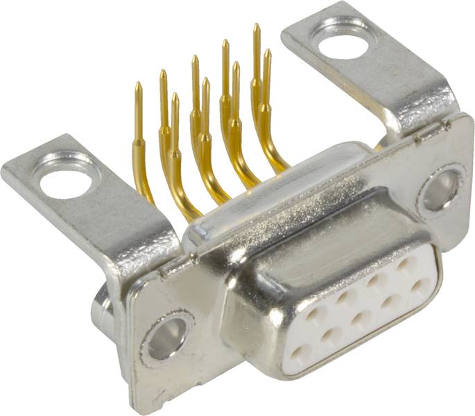 Ein D-Sub-Stecker mit neun Stiften und zwei Montagemetallösen. Hauptsächlich in älteren Computern und elektronischen Geräten verwendet.