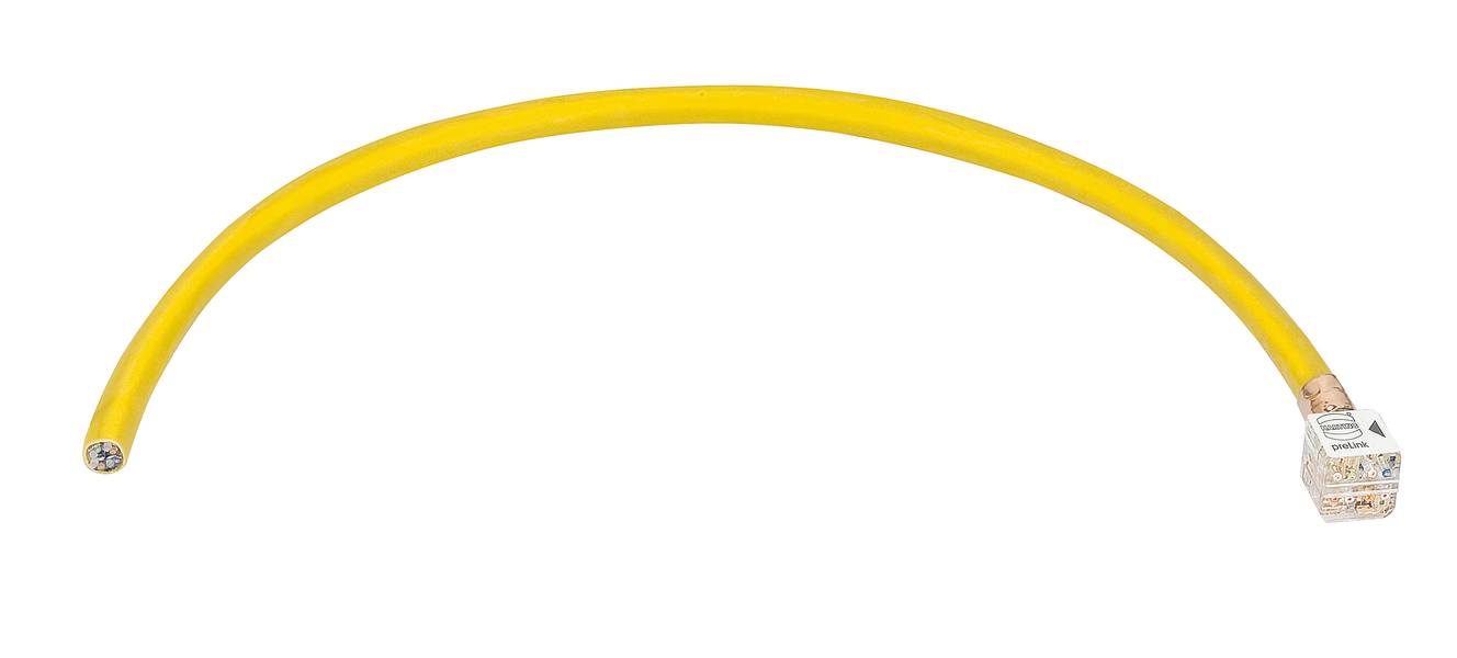 Gelbes Netzwerkkabel mit einem RJ45-Stecker an einem Ende. Ideal für Computer- und Netzwerkverbindungen.