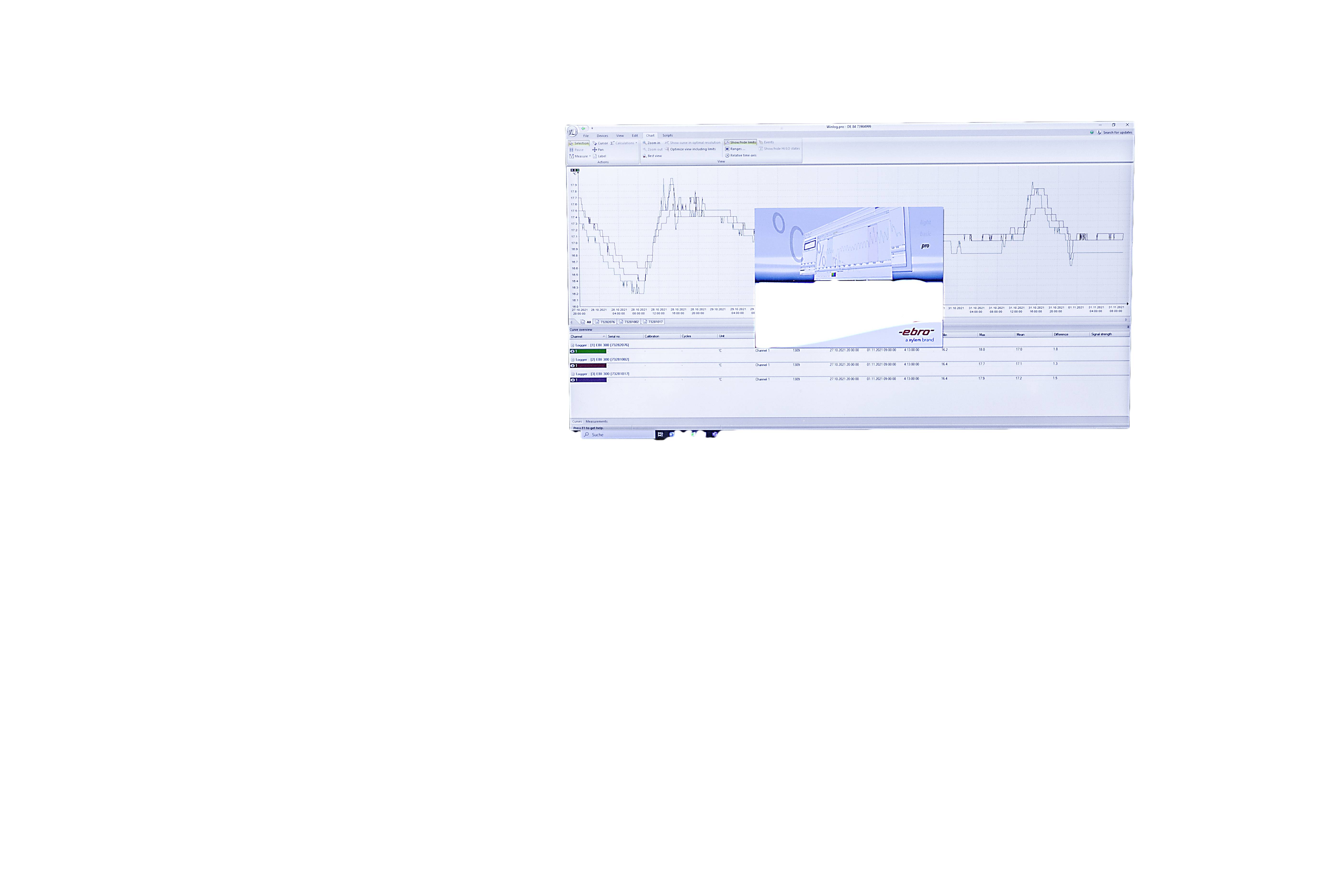 Bildschirm mit Finanzdiagrammen zeigt zwei Liniengrafiken, die Währungsschwankungen darstellen; zentral eingebettetes kleines Fenster.