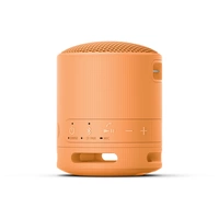Sony SRSXB100D.CE7 Bluetooth® Lautsprecher Freisprechfunktion, spritzwassergeschützt Orange Sony SRSXB100D.CE7 Bluetooth® Lautsprecher Freisprechfunktion, spritzwassergeschützt Orange