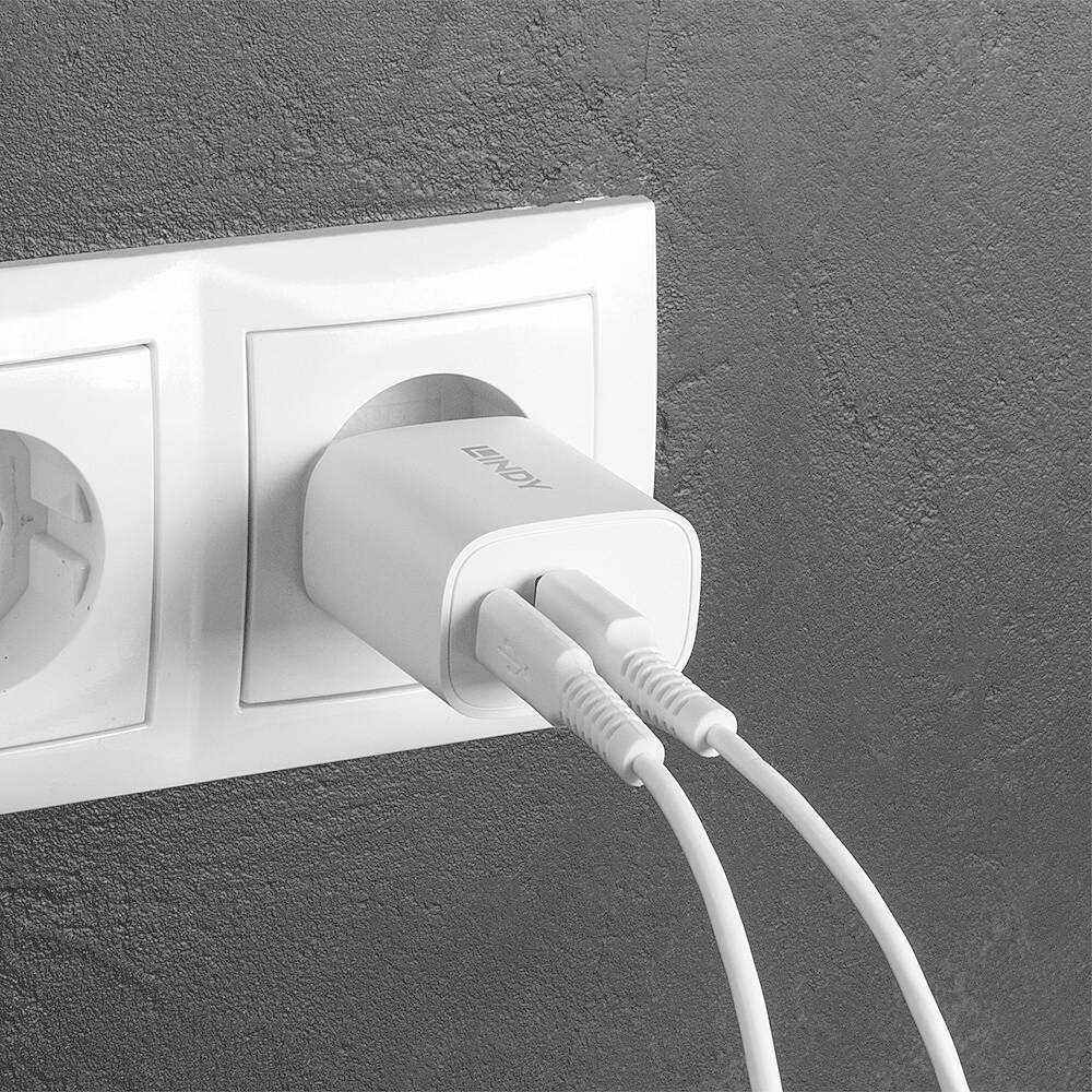 LINDY 20W USB Typ A & C Charger USB Ladegerät 20 W 1x USB-A, 1x USB-C® Weiß Innenbereich