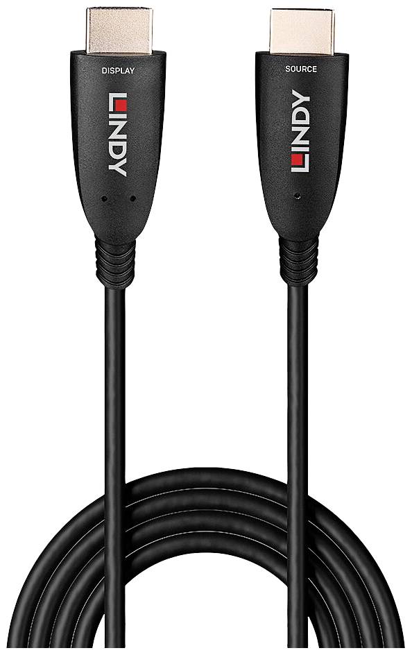 Ein schwarzes HDMI-Kabel der Marke Lindy mit beschrifteten Steckern 'DISPLAY' und 'SOURCE', geeignet für Video- und Audioübertragung.