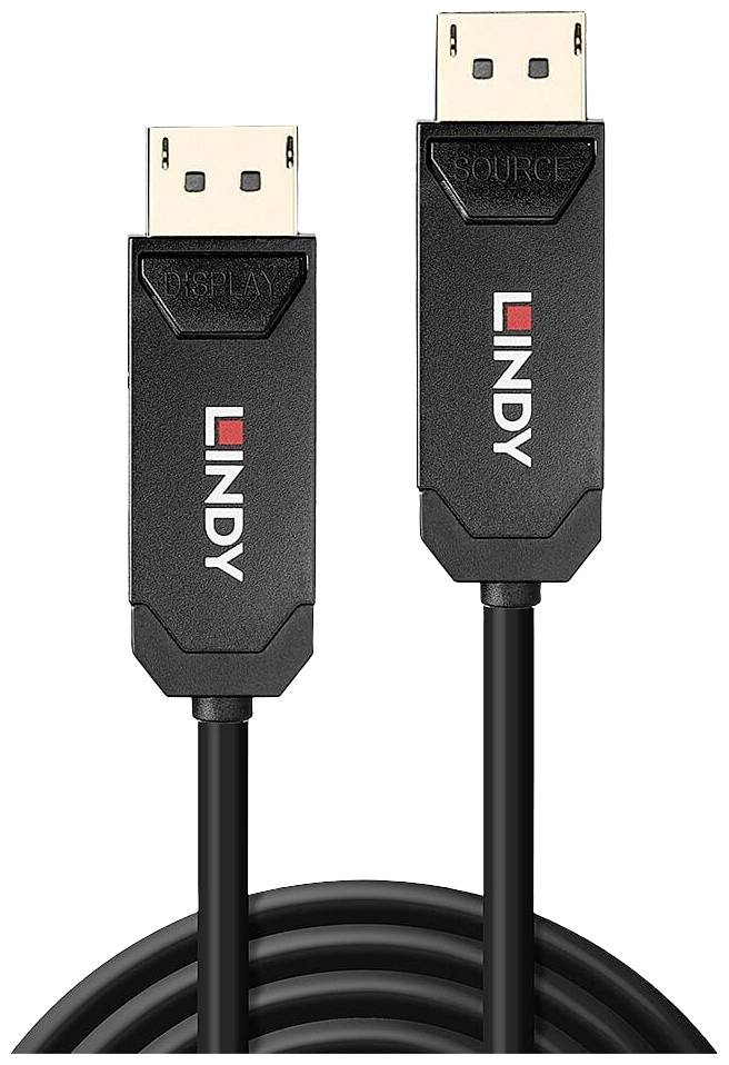 DisplayPort-Kabel von Lindy; linker Stecker mit Aufdruck 'DISPLAY', rechter 'SOURCE'. Schwarzes Kabel mit beiden Enden sichtbar.