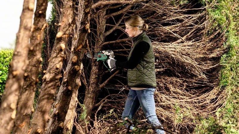 Bosch Home and Garden EasyChain 18V-15-7 Akku-Kettensäge