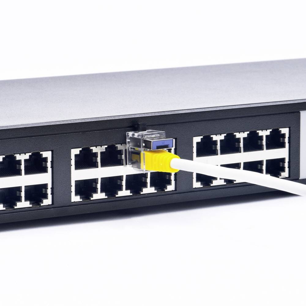 Ein Netzwerkkabel ist an einen Netzwerk-Switch mit mehreren Ports angeschlossen.