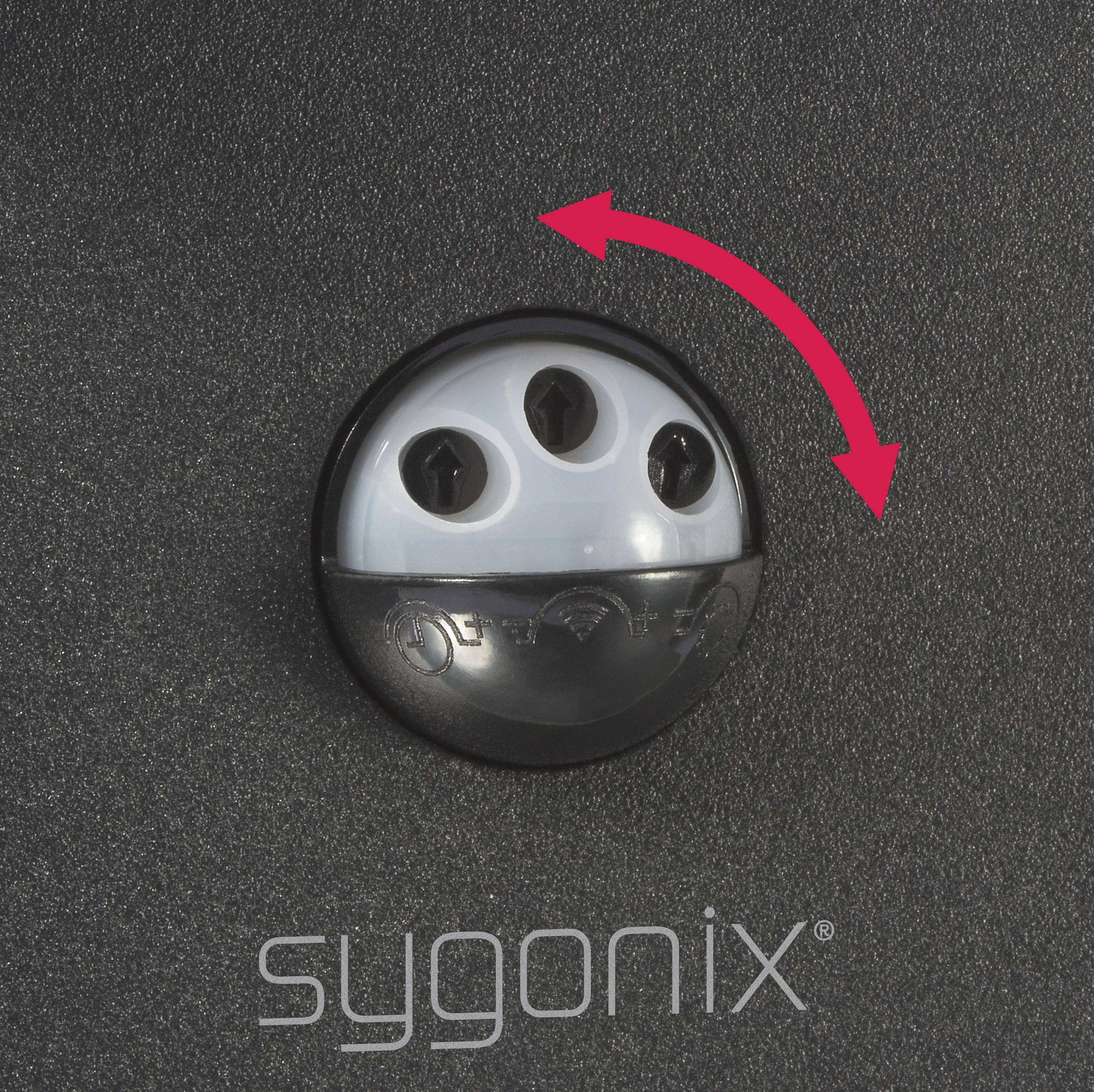 Sygonix SY-6028442 LED-Wandleuchte mit Bewegungsmelder EEK: F (A - G) SMD LED 10.8 W Schwarz