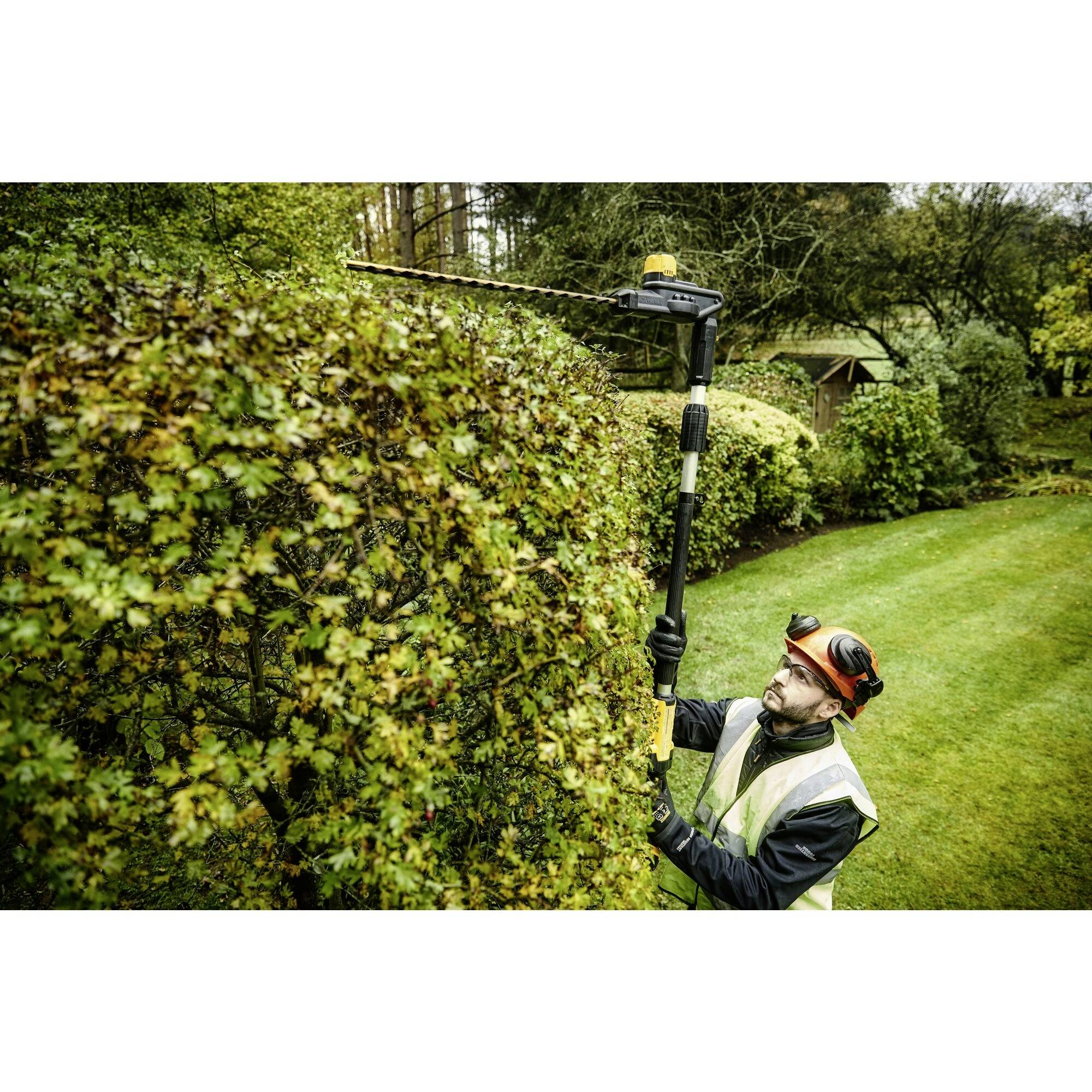 Person mit Schutzkleidung schneidet eine hohe Hecke in einem Garten mit einer elektrischen Heckenschere auf einer Teleskopstange.