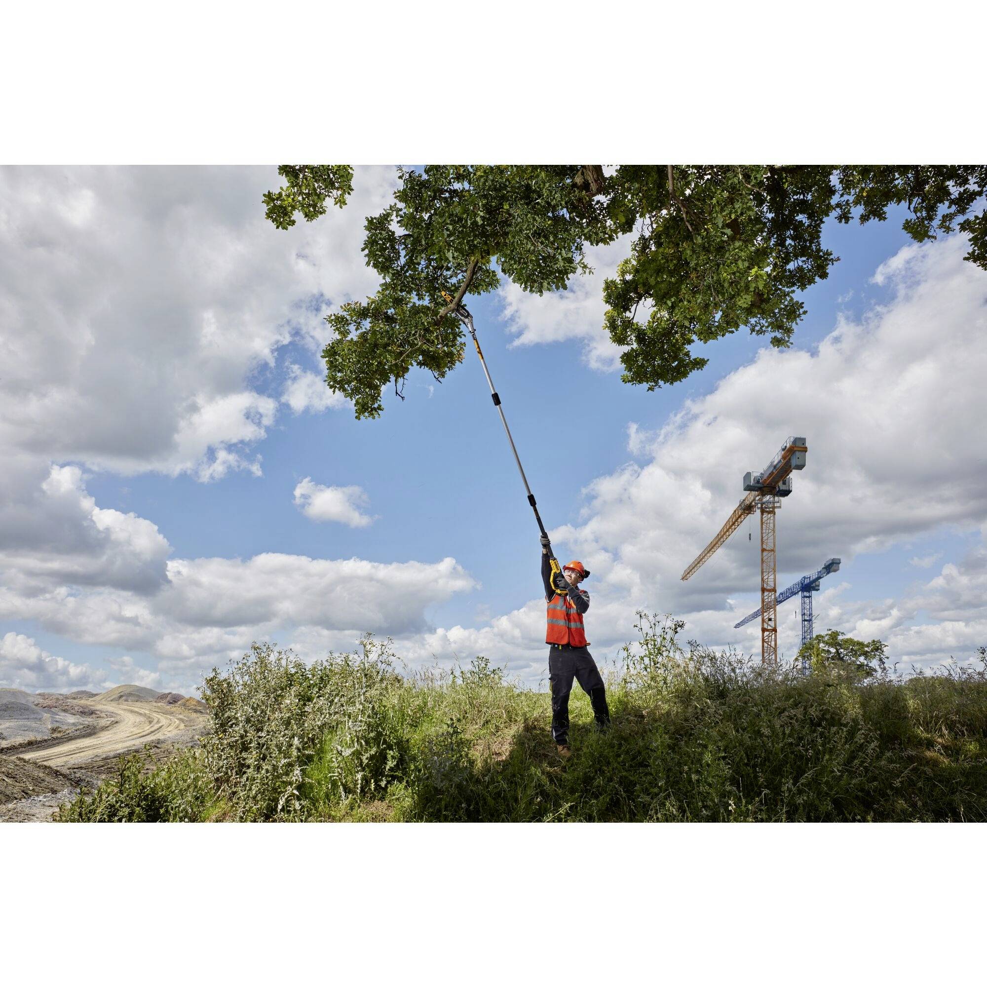 Eine Person schneidet mit einer Teleskopsäge Äste von einem Baum in einer weitläufigen Landschaft. Ein Kran steht im Hintergrund.