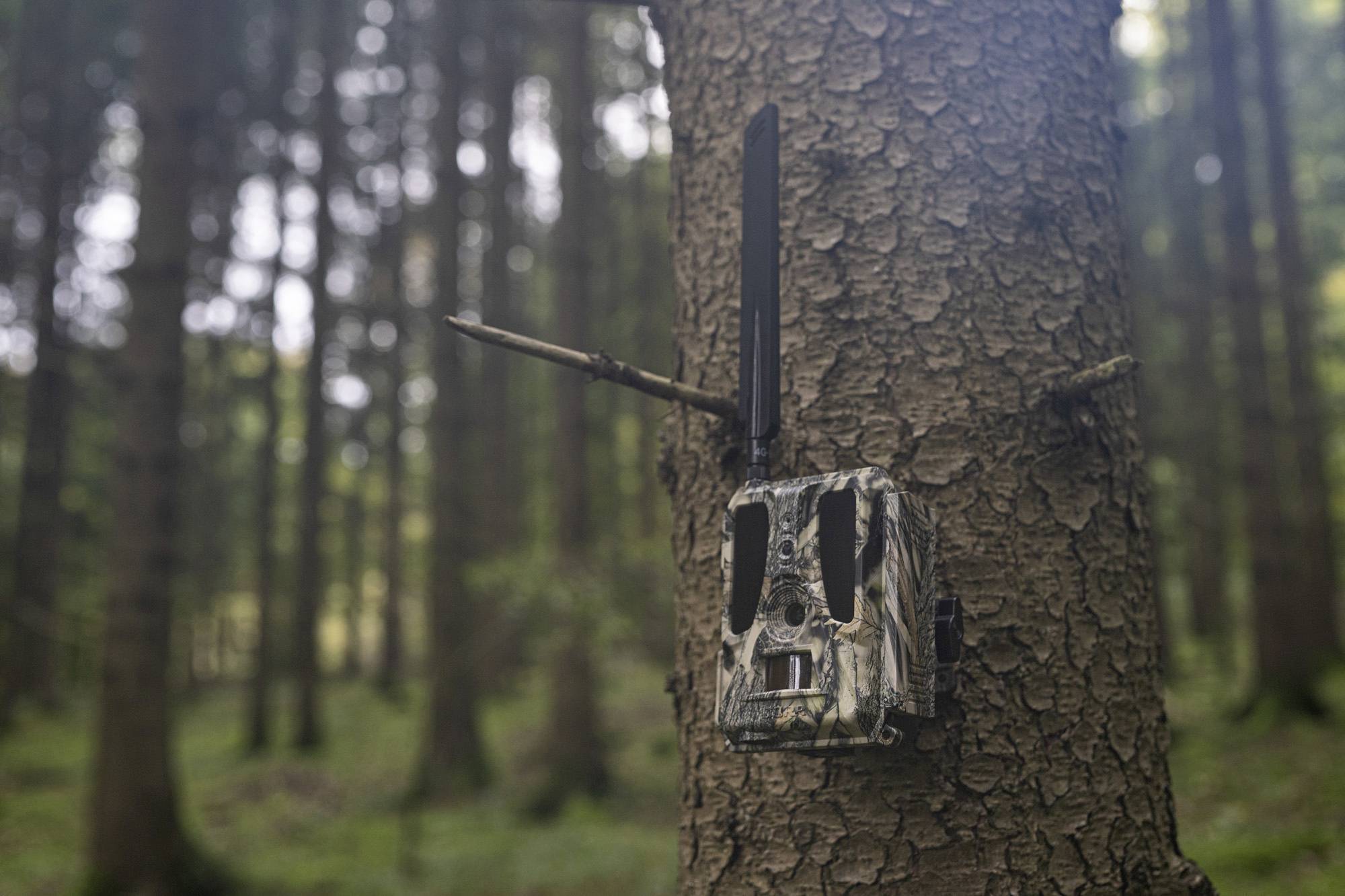 DÖRR SnapShot Cloud Pro 4G WA Wildkamera 24 Megapixel 4G Bildübertragung, Black LEDs, Tonaufzeichnung, Zeitrafferfunktion Camouflage, Olivgrün