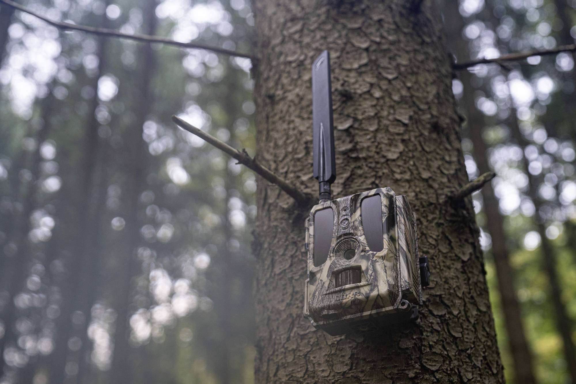 DÖRR SnapShot Cloud Pro 4G WA Wildkamera 24 Megapixel 4G Bildübertragung, Black LEDs, Tonaufzeichnung, Zeitrafferfunktion Camouflage, Olivgrün