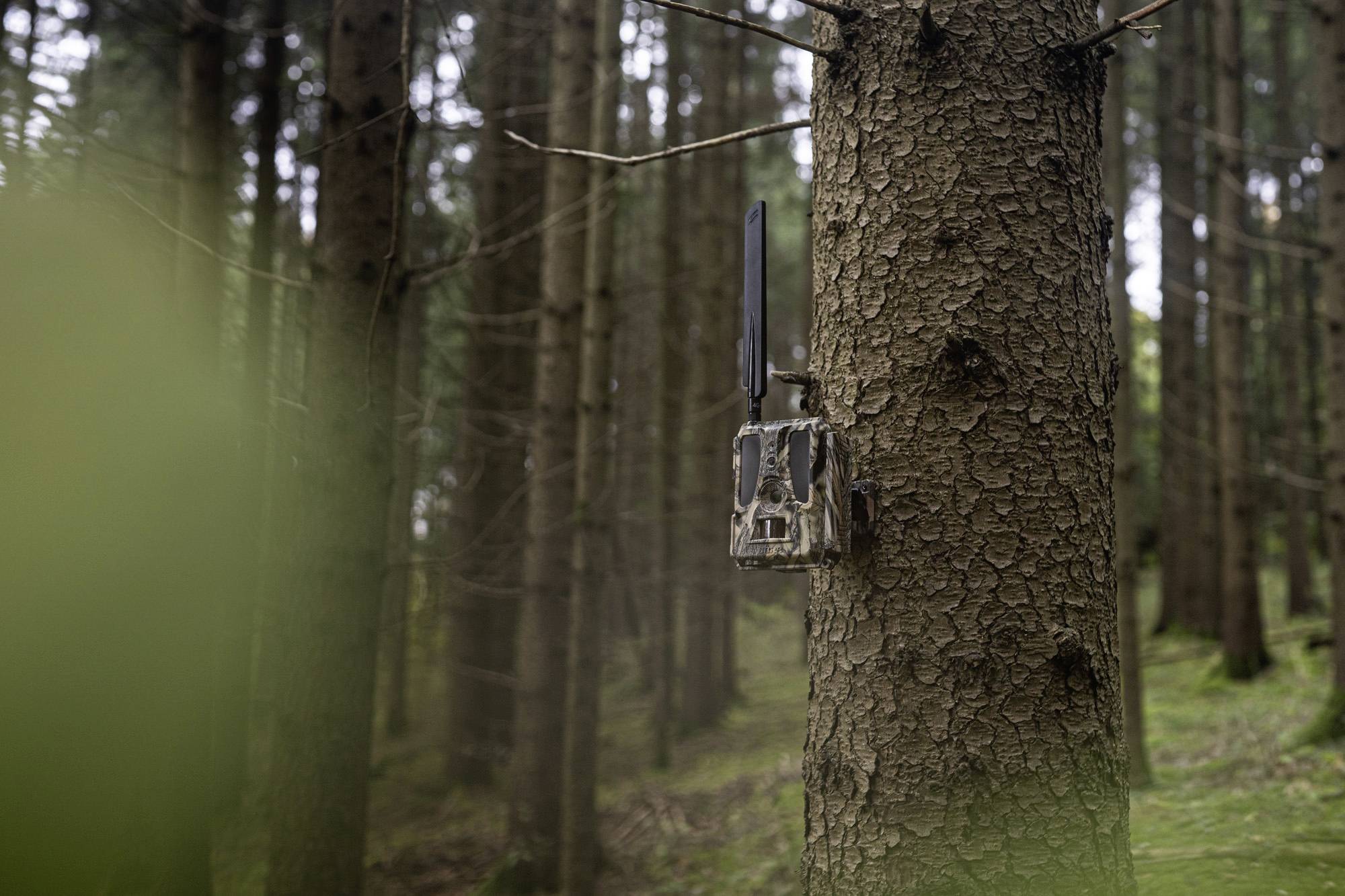 DÖRR SnapShot Cloud Pro 4G WA Wildkamera 24 Megapixel 4G Bildübertragung, Black LEDs, Tonaufzeichnung, Zeitrafferfunktion Camouflage, Olivgrün