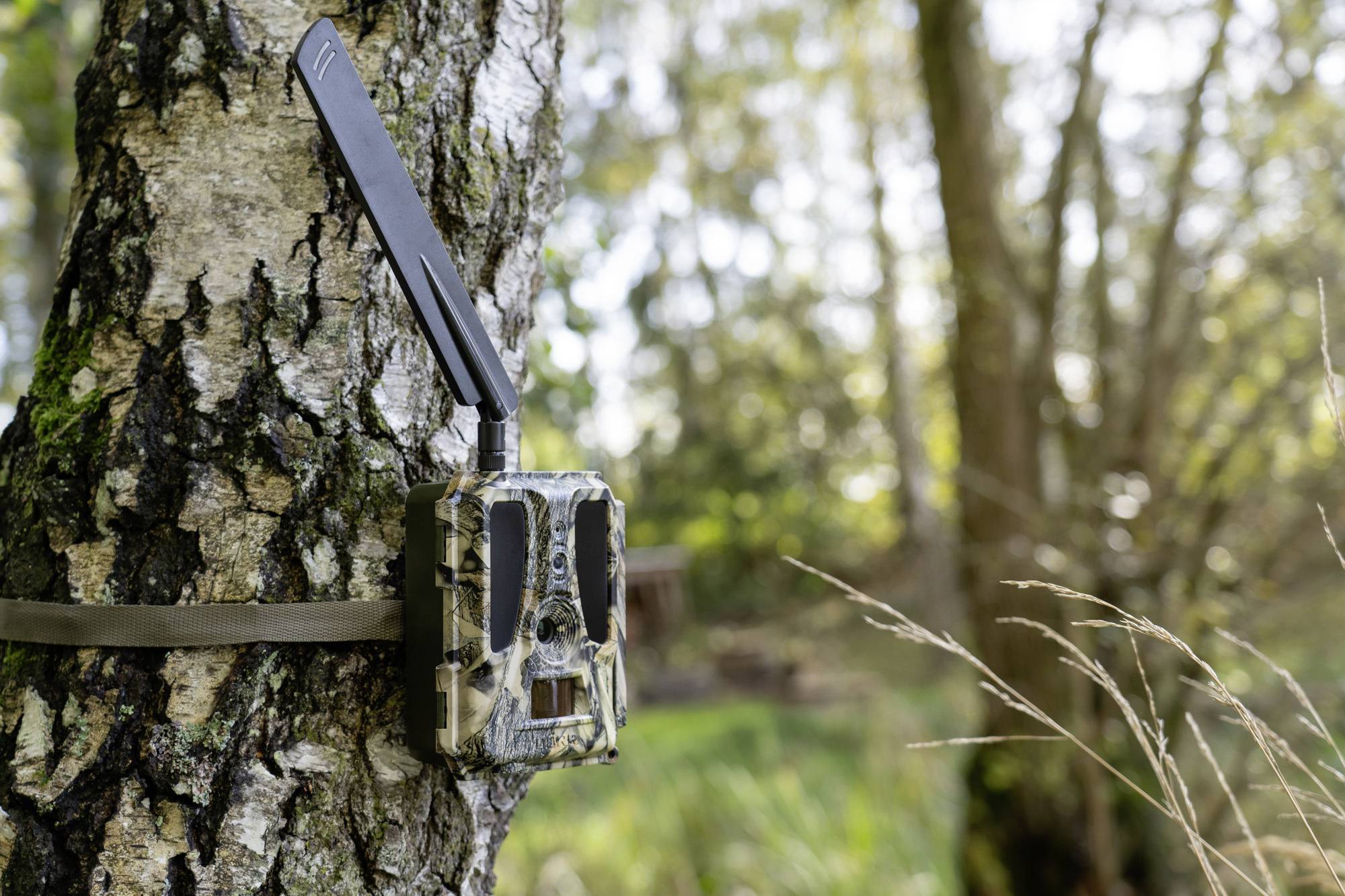 DÖRR SnapShot Cloud Pro 4G WA Wildkamera 24 Megapixel 4G Bildübertragung, Black LEDs, Tonaufzeichnung, Zeitrafferfunktion Camouflage, Olivgrün