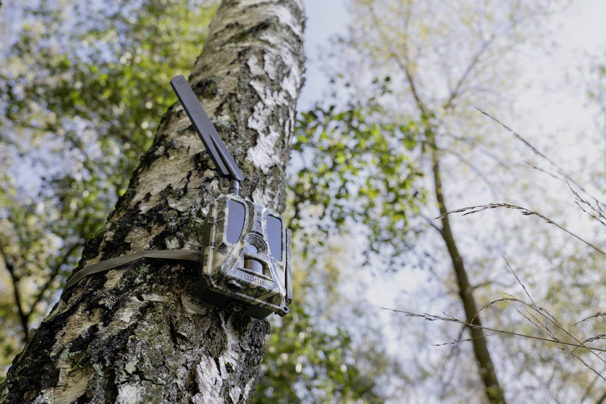 DÖRR SnapShot Cloud Pro 4G WA Wildkamera 24 Megapixel 4G Bildübertragung, Black LEDs, Tonaufzeichnung, Zeitrafferfunktion Camouflage, Olivgrün