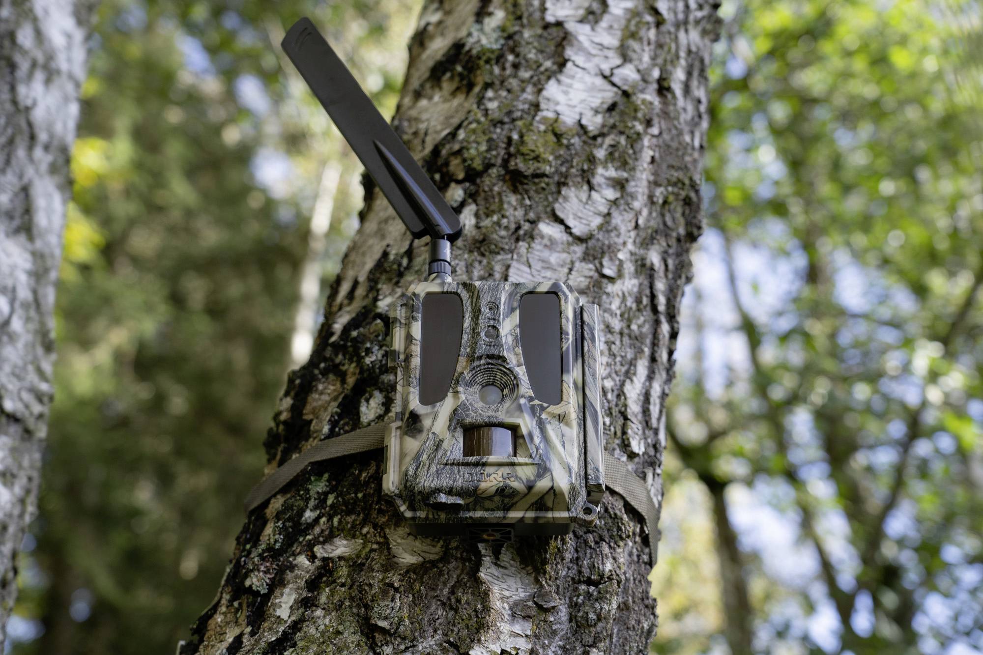 DÖRR SnapShot Cloud Pro 4G WA Wildkamera 24 Megapixel 4G Bildübertragung, Black LEDs, Tonaufzeichnung, Zeitrafferfunktion Camouflage, Olivgrün