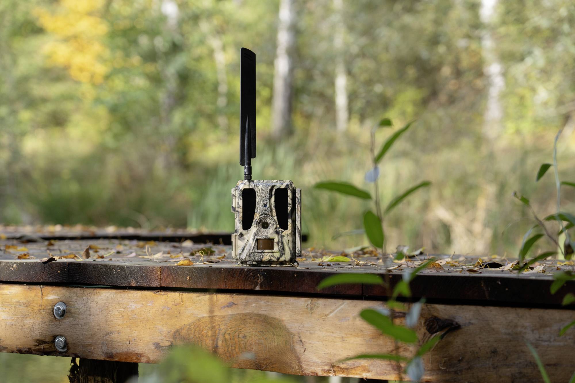 DÖRR SnapShot Cloud Pro 4G WA Wildkamera 24 Megapixel 4G Bildübertragung, Black LEDs, Tonaufzeichnung, Zeitrafferfunktion Camouflage, Olivgrün