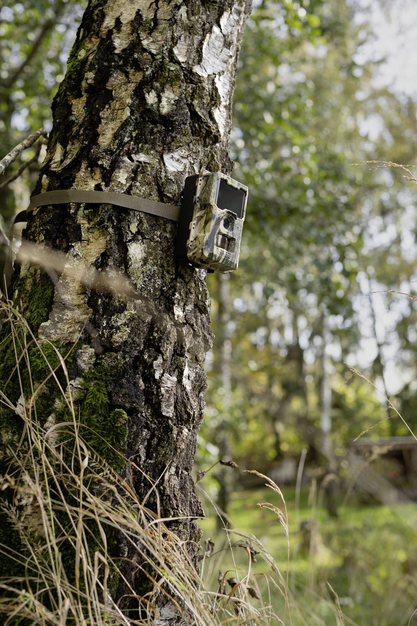 DÖRR SnapShot Mini 5.0 Pro Wildkamera 5 Megapixel Black LEDs, Tonaufzeichnung, Zeitrafferfunktion Camouflage