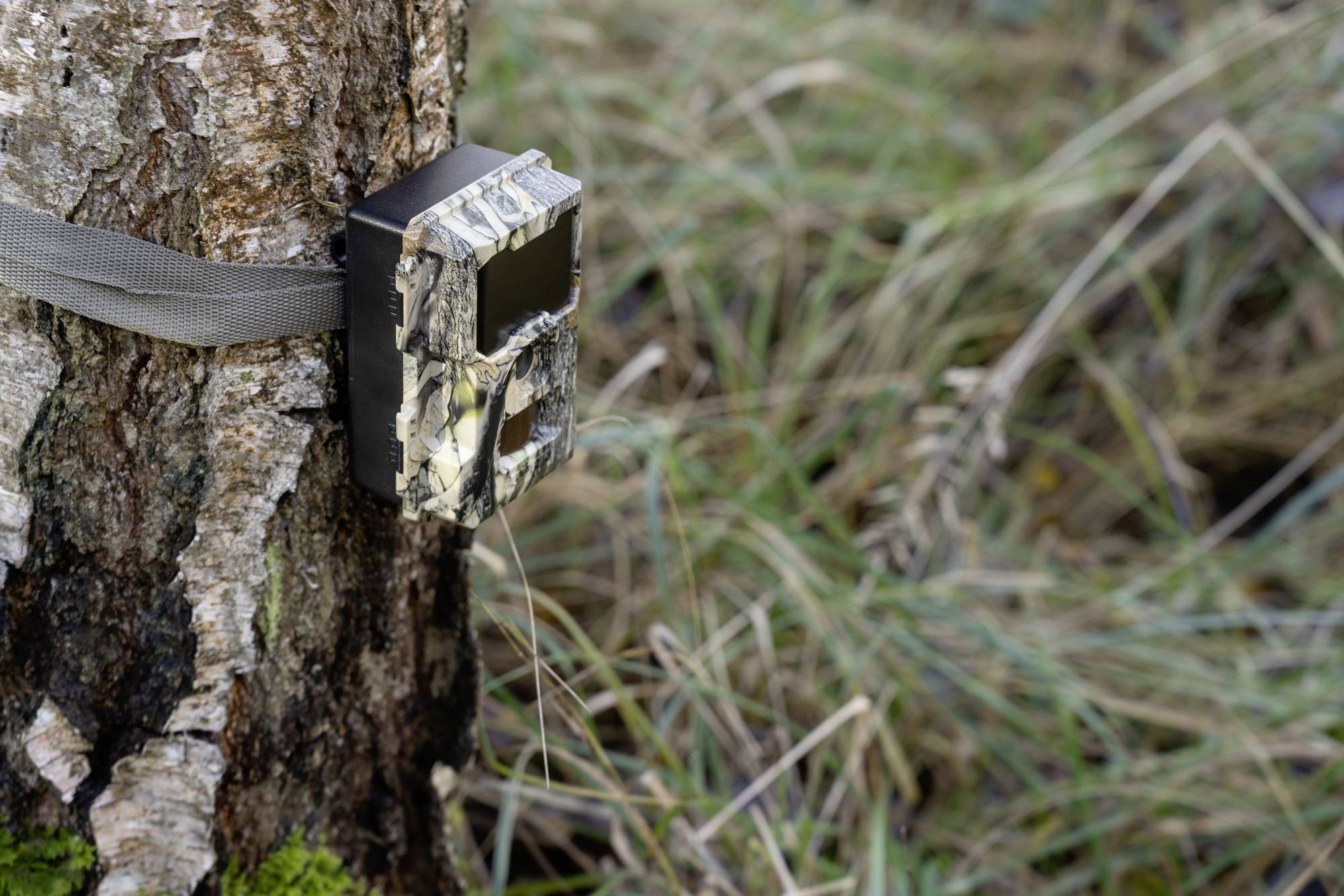 DÖRR SnapShot Mini 5.0 Pro Wildkamera 5 Megapixel Black LEDs, Tonaufzeichnung, Zeitrafferfunktion Camouflage