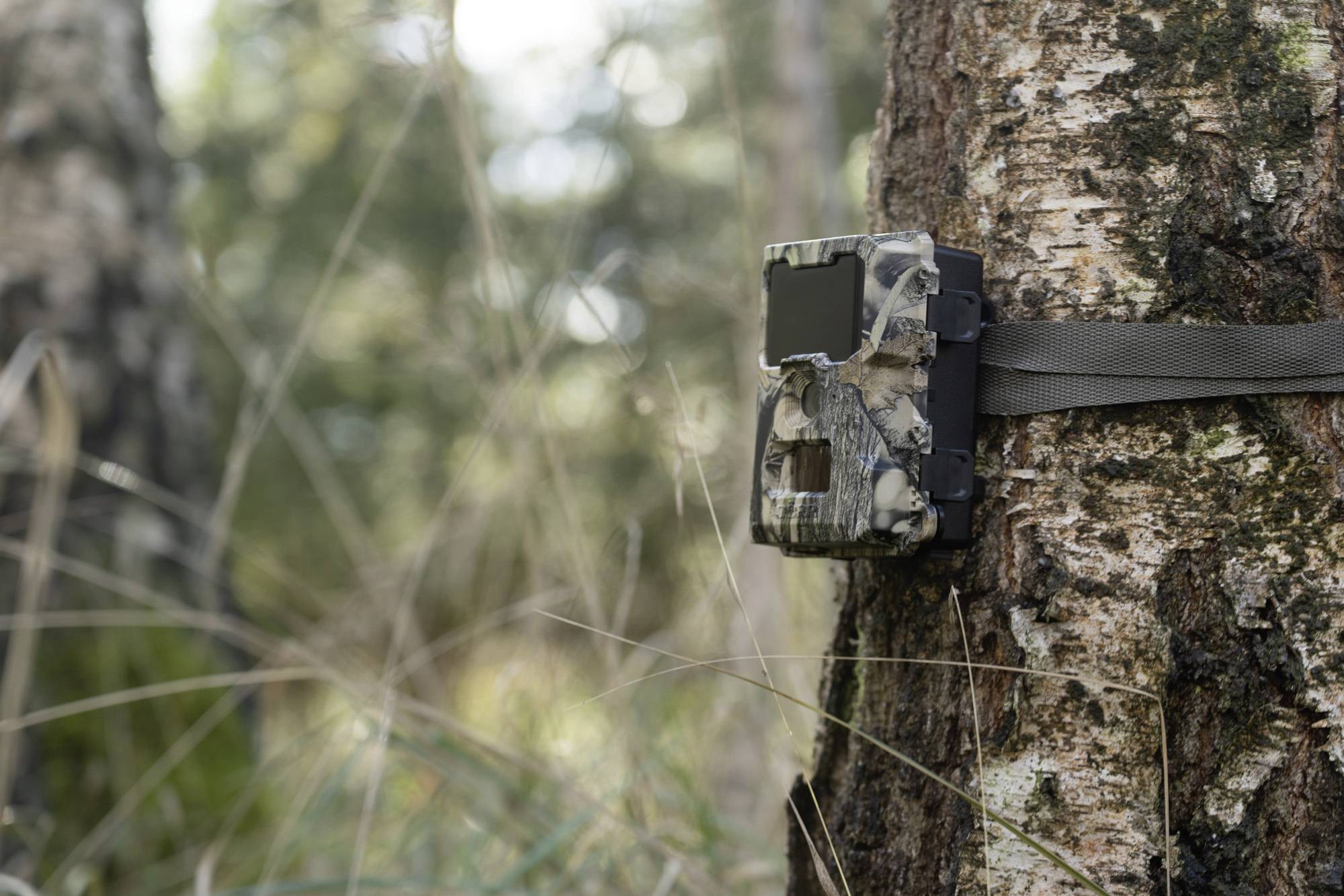 DÖRR SnapShot Mini 5.0 Pro Wildkamera 5 Megapixel Black LEDs, Tonaufzeichnung, Zeitrafferfunktion Camouflage