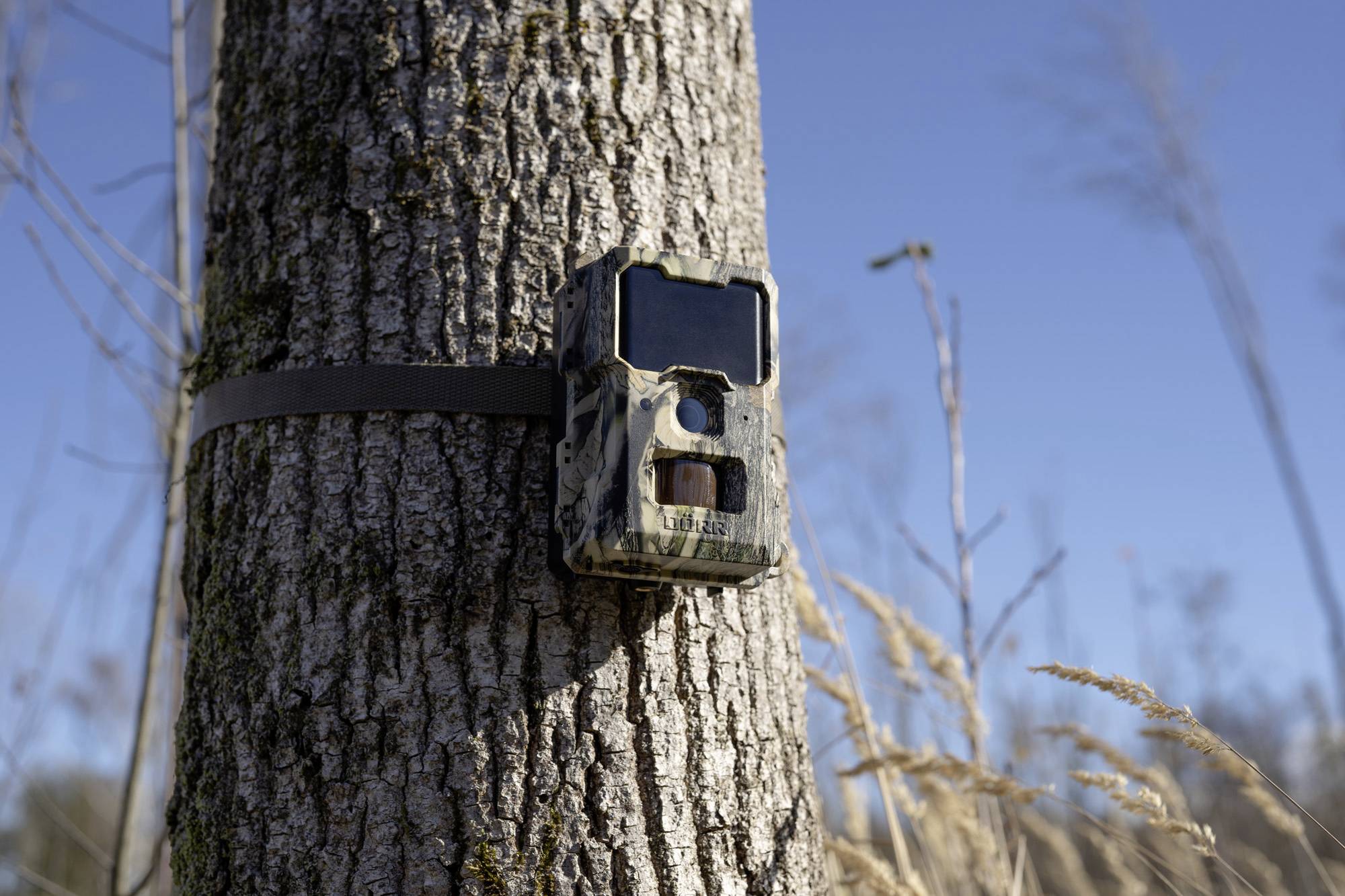 DÖRR SnapShot Mini 5.0 Pro Wildkamera 5 Megapixel Black LEDs, Tonaufzeichnung, Zeitrafferfunktion Camouflage