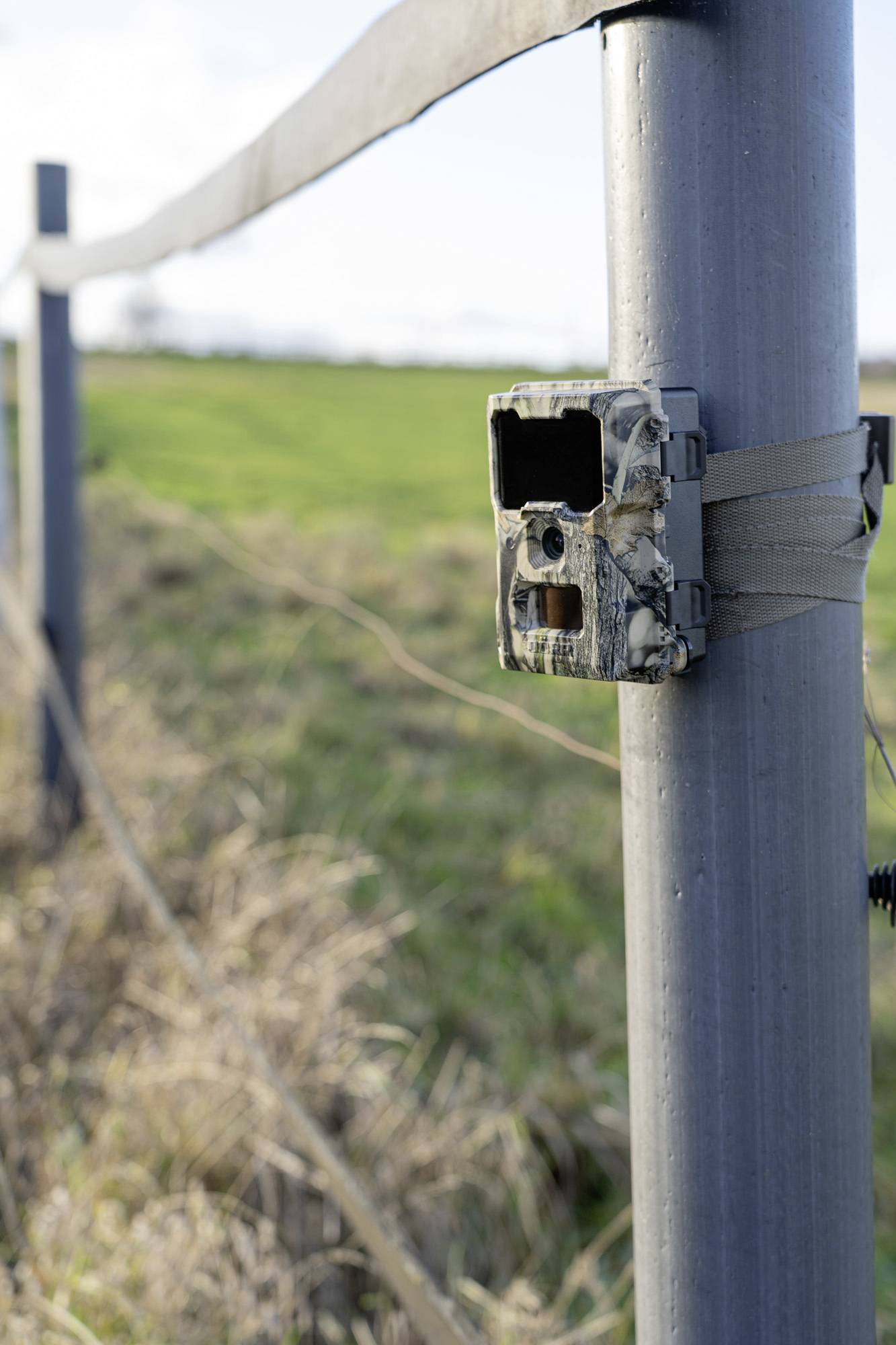 DÖRR SnapShot Mini 5.0 Pro Wildkamera 5 Megapixel Black LEDs, Tonaufzeichnung, Zeitrafferfunktion Camouflage