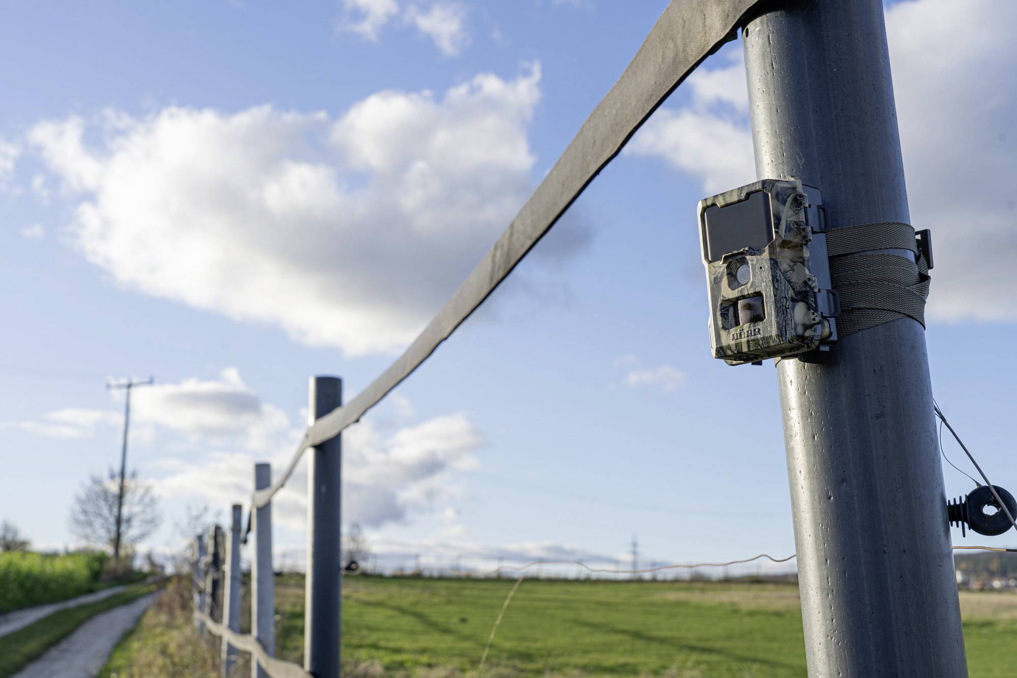 DÖRR SnapShot Mini 5.0 Pro Wildkamera 5 Megapixel Black LEDs, Tonaufzeichnung, Zeitrafferfunktion Camouflage