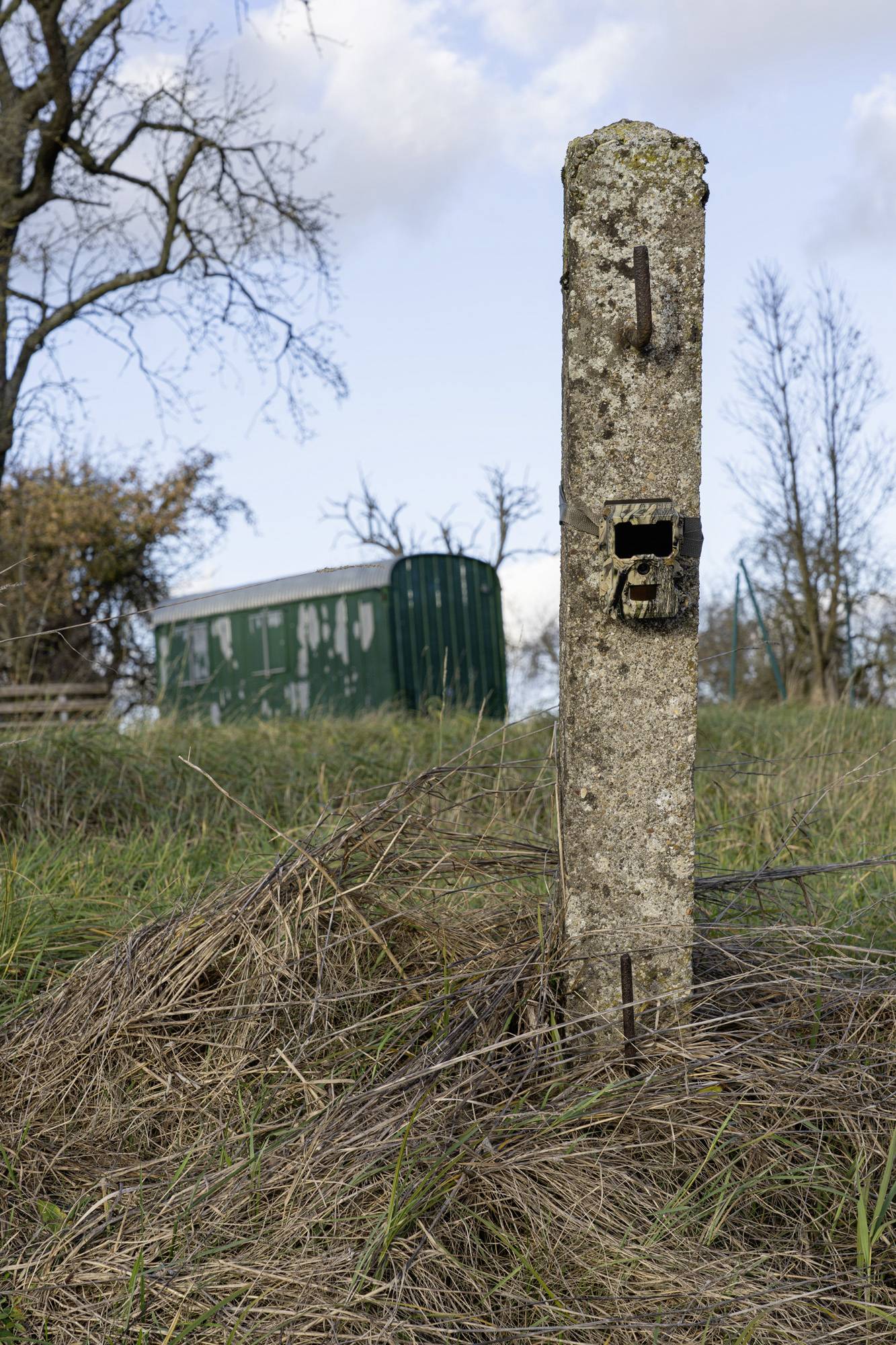 DÖRR SnapShot Mini 5.0 Pro Wildkamera 5 Megapixel Black LEDs, Tonaufzeichnung, Zeitrafferfunktion Camouflage