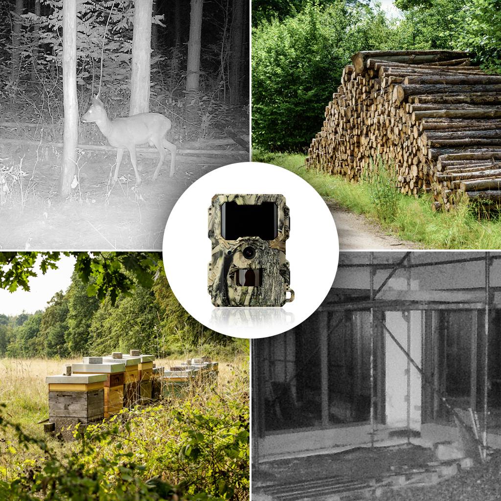 DÖRR SnapShot Mini 5.0 Pro Wildkamera 5 Megapixel Black LEDs, Tonaufzeichnung, Zeitrafferfunktion Camouflage