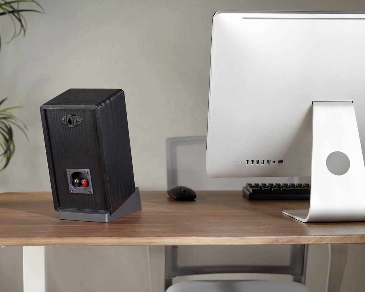 Auf einem Schreibtisch stehen ein großer Computerbildschirm und ein Lautsprecher. Im Hintergrund ist unscharf eine Pflanze zu sehen.